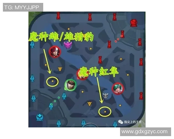 王者荣耀S15赛季RNG团队协作策略与战术分析探讨 王者荣耀S15赛季RNG团队协作策略与战术分析探讨