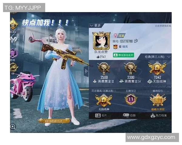 和平精英战术LNG的进攻体系解析与实战应用技巧分享