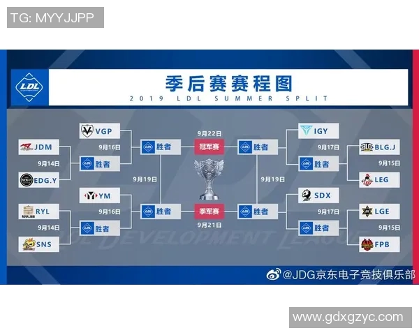 电竞比分职业联赛中LNG选手个人能力表现的深度分析与点评